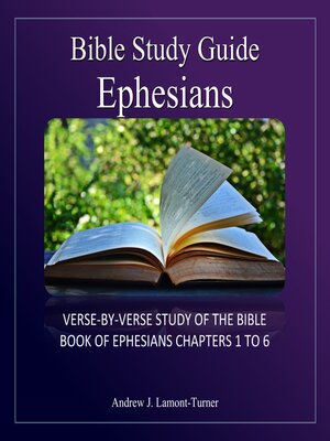 cover image of Bible Study Guide